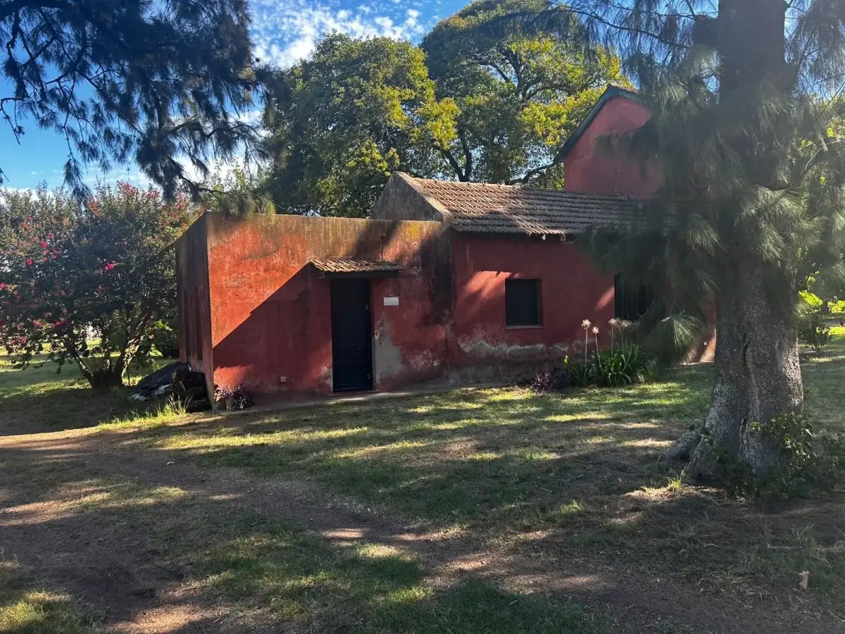 Campo "La Recoleta" - imagen 6