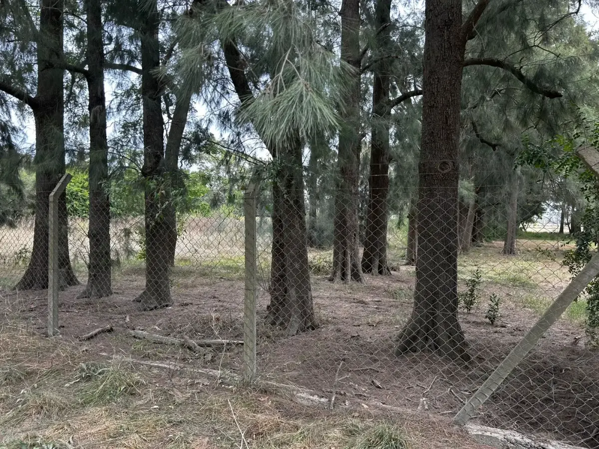 Chacras de Canning - imagen 2