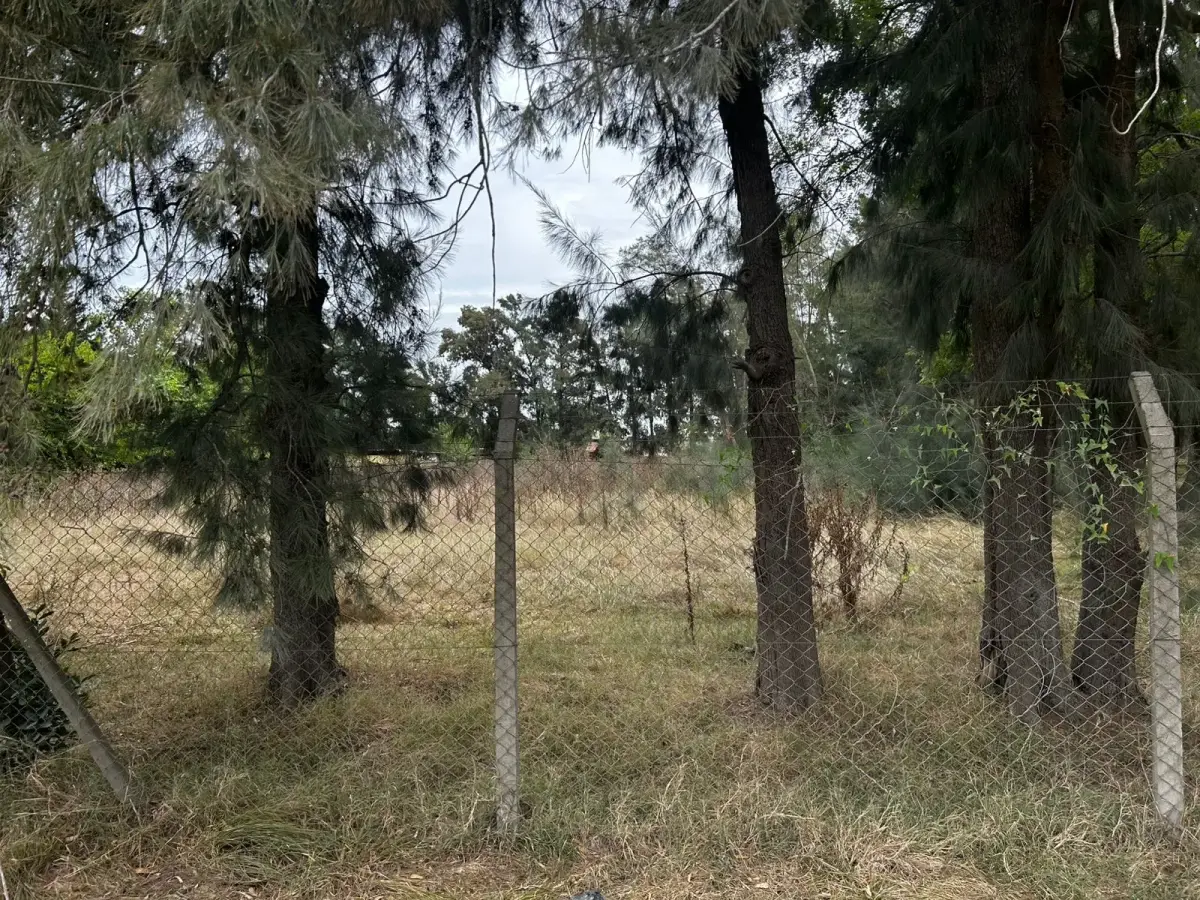Chacras de Canning - imagen 4