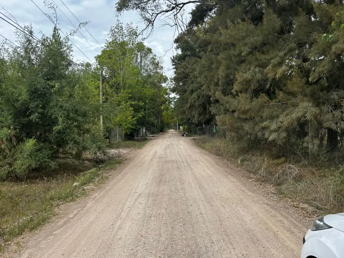 Chacras de Canning - imagen 5